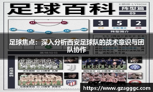 博鱼.体育官网