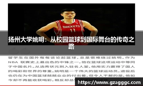 博鱼.体育官网