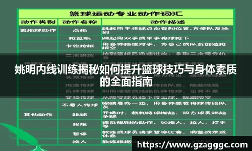 博鱼.体育官网
