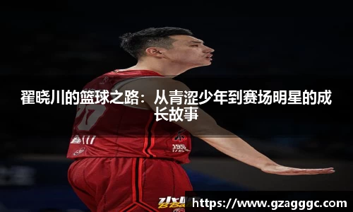 博鱼中国官方入口