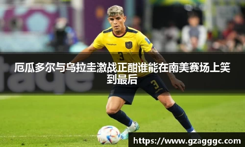 博鱼.体育官网