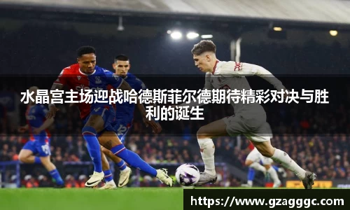 水晶宫主场迎战哈德斯菲尔德期待精彩对决与胜利的诞生