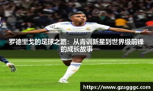 博鱼.体育官网