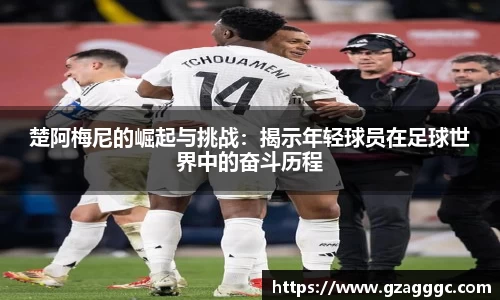 博鱼.boyu体育