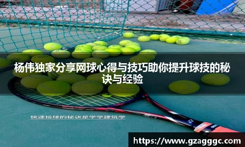 杨伟独家分享网球心得与技巧助你提升球技的秘诀与经验