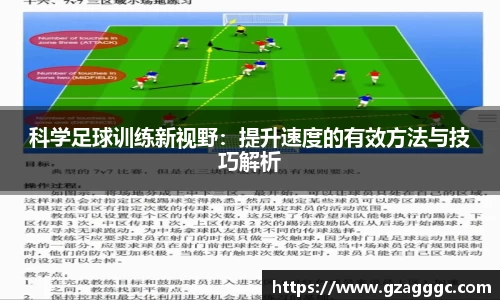 博鱼.体育官网