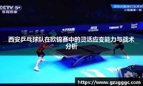 博鱼.体育官网